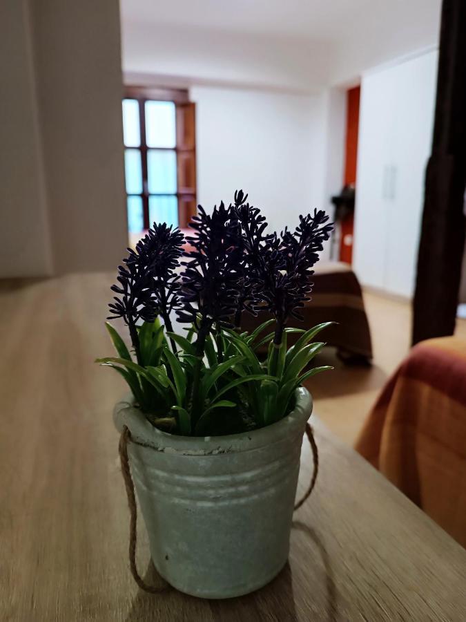 Corrala De San Anton. Sencillo Apartamento En Pleno Centro Granada Exteriér fotografie